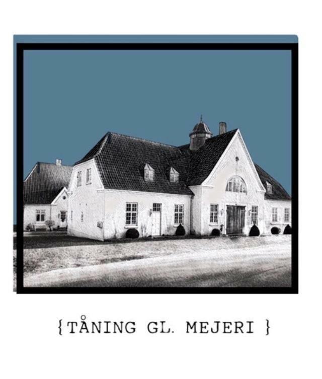 Taning Gl. Mejeri Apartment Skanderborg Exterior photo